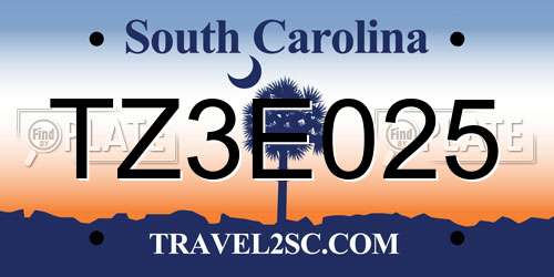 TZ3E025 South Carolina License Plate