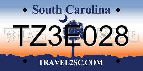 TZ3E028 South Carolina License Plate