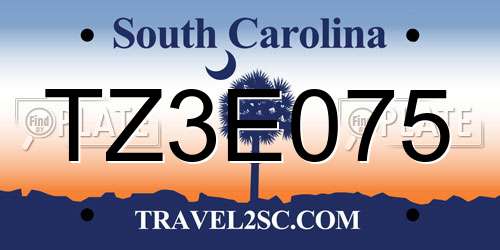TZ3E075 South Carolina License Plate