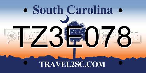 TZ3E078 South Carolina License Plate