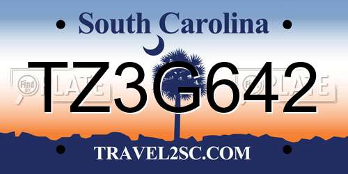 TZ3G642 South Carolina License Plate
