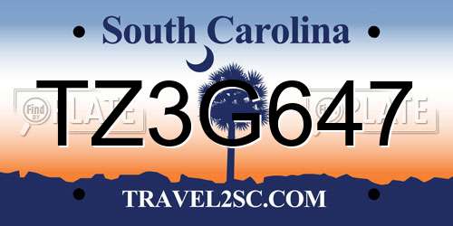 TZ3G647 South Carolina License Plate