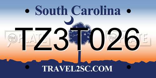 TZ3T026 South Carolina License Plate