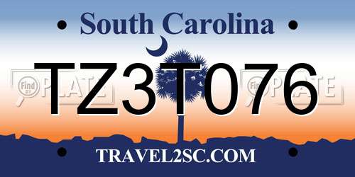 TZ3T076 South Carolina License Plate