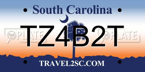 TZ4B2T South Carolina License Plate