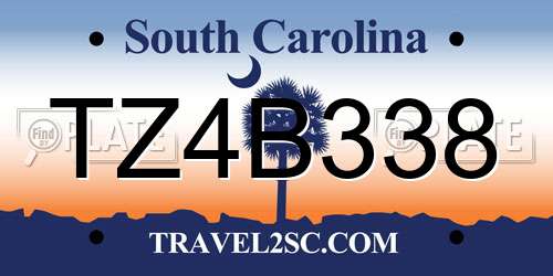 TZ4B338 South Carolina License Plate