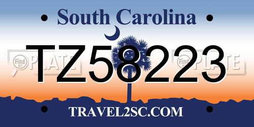 TZ58223 South Carolina License Plate