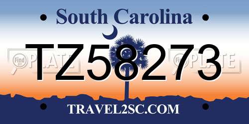 TZ58273 South Carolina License Plate