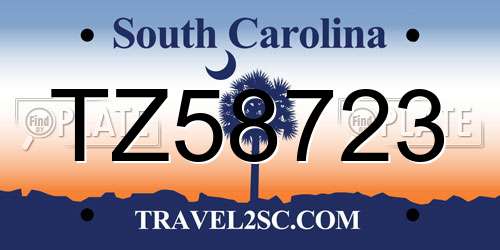 TZ58723 South Carolina License Plate