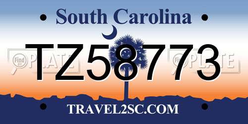 TZ58773 South Carolina License Plate