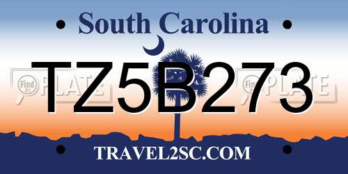 TZ5B273 South Carolina License Plate