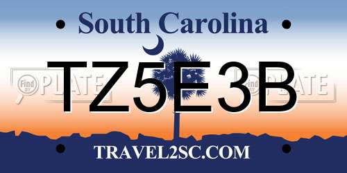 TZ5E3B South Carolina License Plate