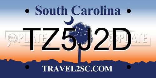 TZ5J2D South Carolina License Plate