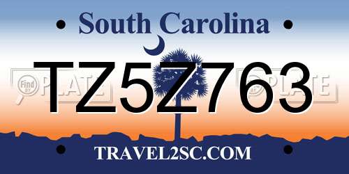 TZ5Z763 South Carolina License Plate