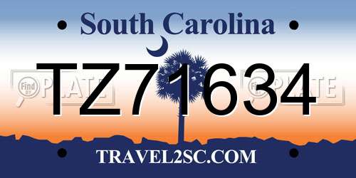 TZ71634 South Carolina License Plate