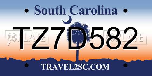 TZ7D582 South Carolina License Plate
