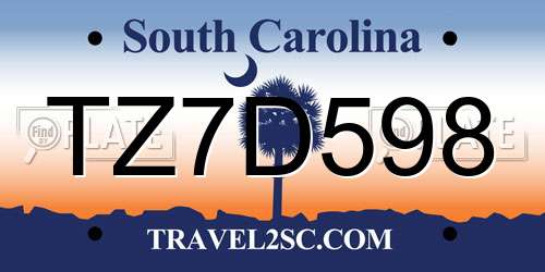 TZ7D598 South Carolina License Plate