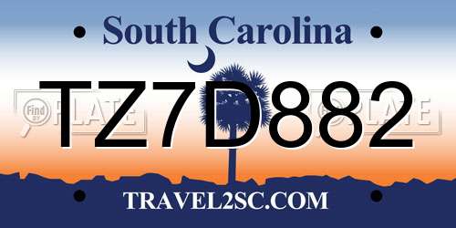 TZ7D882 South Carolina License Plate