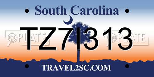 TZ7I313 South Carolina License Plate