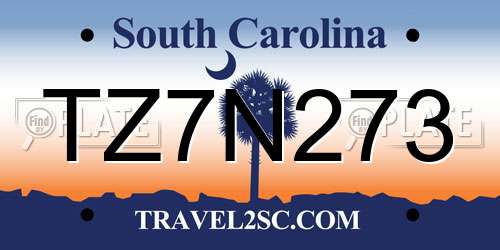 TZ7N273 South Carolina License Plate