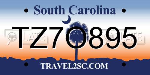 TZ7O895 South Carolina License Plate