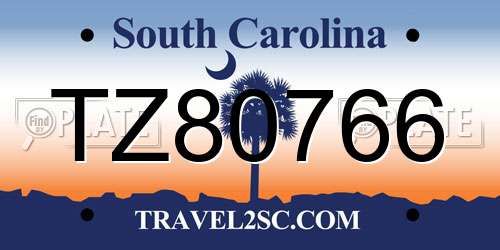 TZ80766 South Carolina License Plate