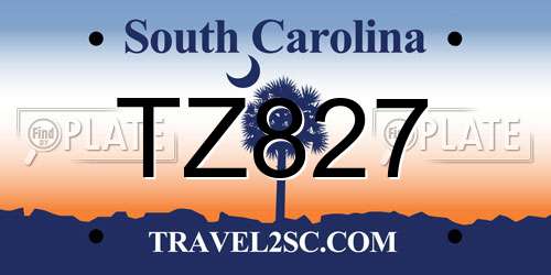 TZ827 South Carolina License Plate