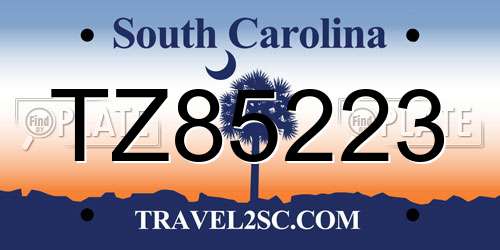 TZ85223 South Carolina License Plate