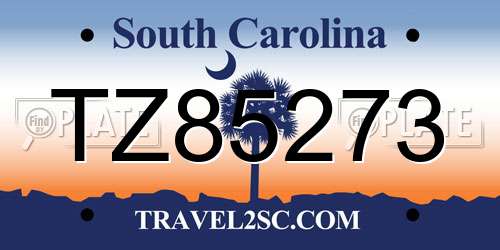 TZ85273 South Carolina License Plate