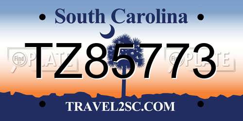 TZ85773 South Carolina License Plate