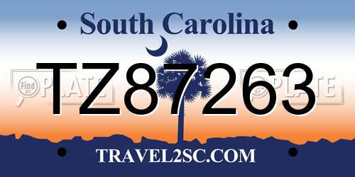 TZ87263 South Carolina License Plate