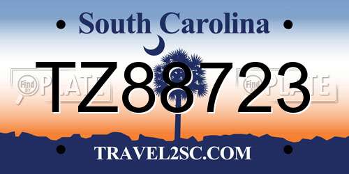 TZ88723 South Carolina License Plate