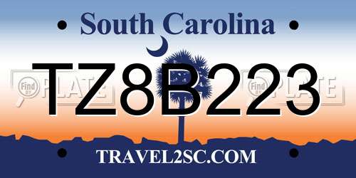 TZ8B223 South Carolina License Plate