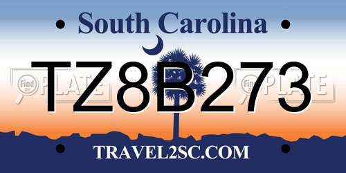 TZ8B273 South Carolina License Plate
