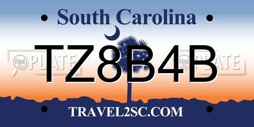 TZ8B4B South Carolina License Plate