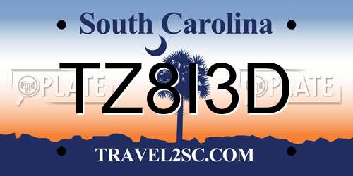 TZ8I3D South Carolina License Plate