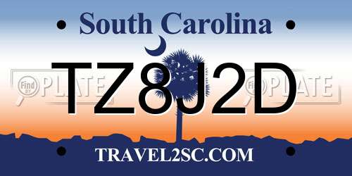 TZ8J2D South Carolina License Plate
