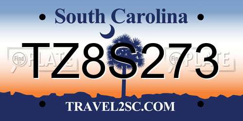 TZ8S273 South Carolina License Plate