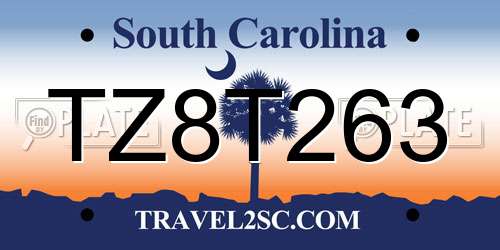 TZ8T263 South Carolina License Plate
