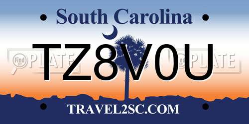 TZ8V0U South Carolina License Plate