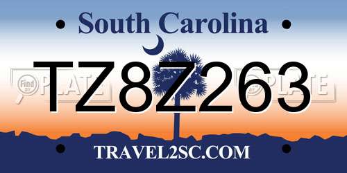 TZ8Z263 South Carolina License Plate