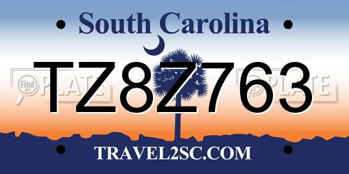 TZ8Z763 South Carolina License Plate