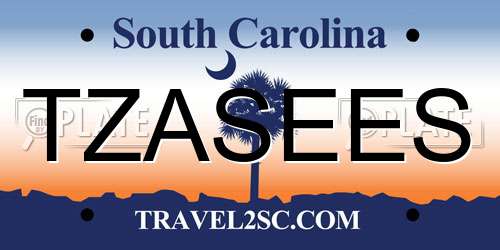 TZASEES South Carolina License Plate