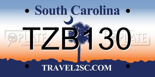 TZB130 South Carolina License Plate