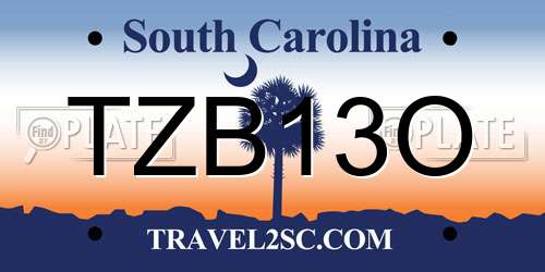 TZB13O South Carolina License Plate
