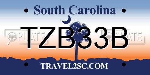 TZB33B South Carolina License Plate