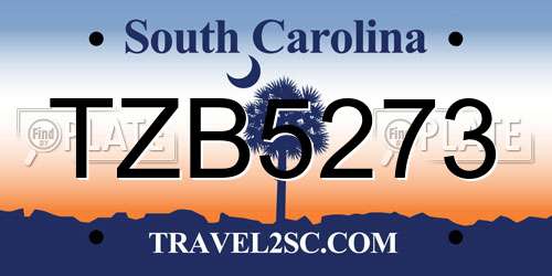 TZB5273 South Carolina License Plate
