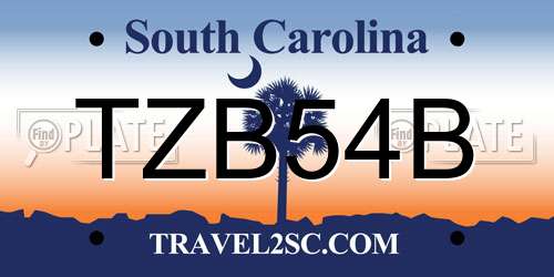 TZB54B South Carolina License Plate
