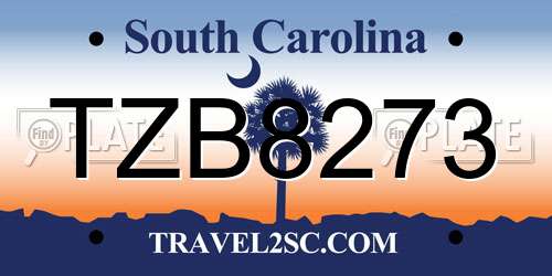 TZB8273 South Carolina License Plate