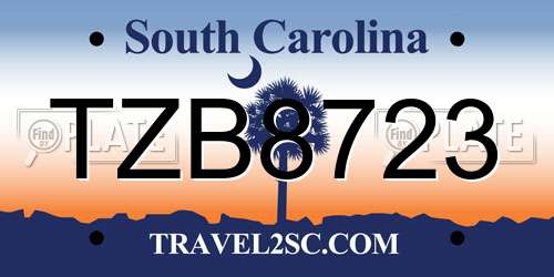 TZB8723 South Carolina License Plate